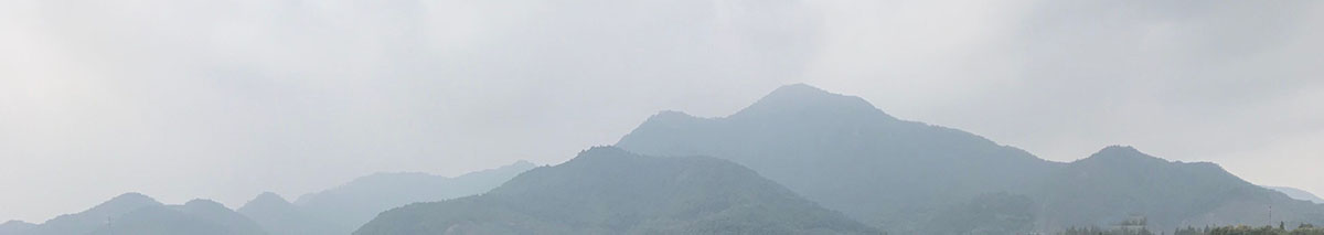 9559.jpg